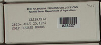 Image Associated With the Occurence
